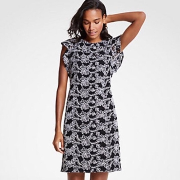 Ann Taylor black and white shift dress - Picture 2 of 8